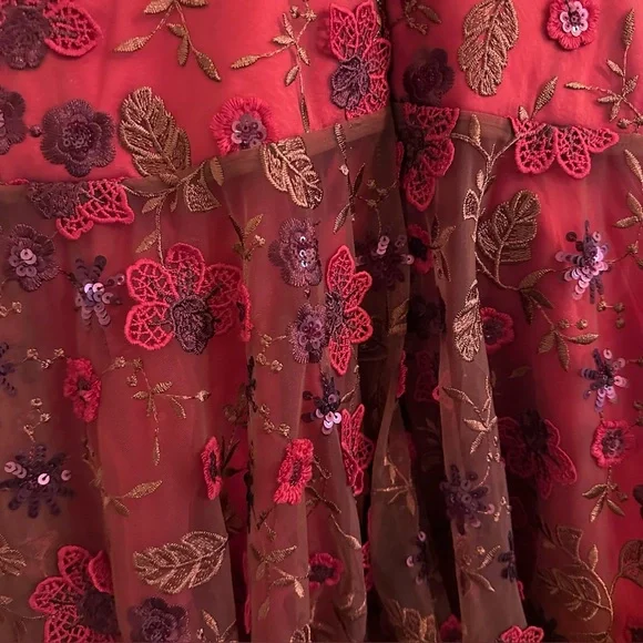 Bronx and Banco Della Rouge Mini Dress Red Floral Sheer Embellished Sz Medium 6 - Picture 11 of 12